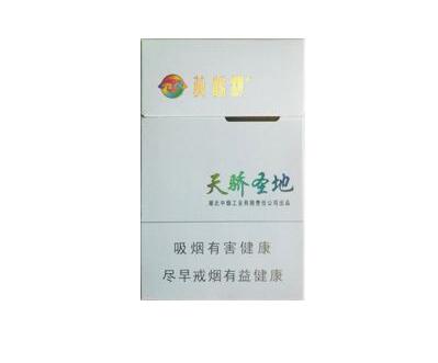 高档一次性香烟过滤嘴