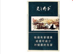 隐藏式屋外烟囱